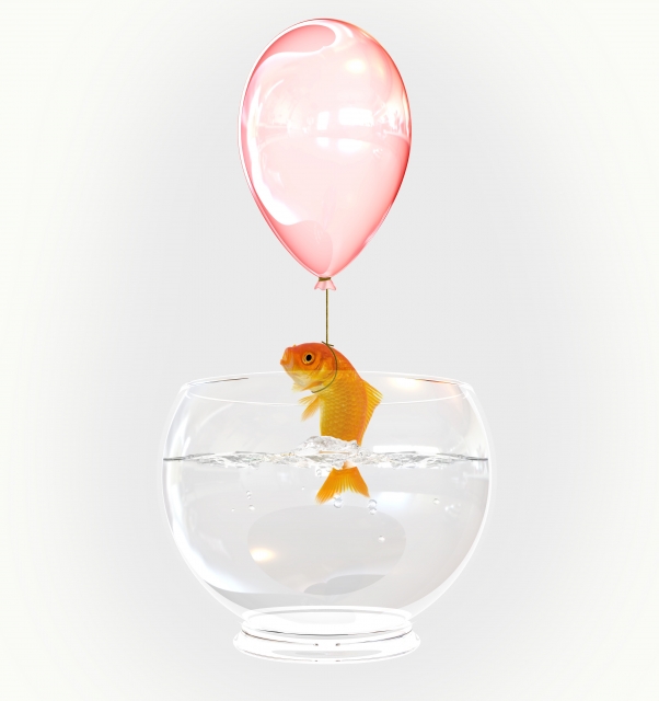 Escaping Fish